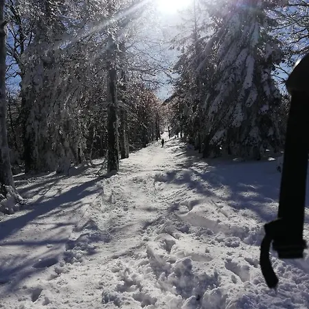 Séjour chez l'habitant Pod Szyndzielnia *