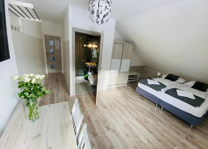 民宿 Pod Szyndzielnia *